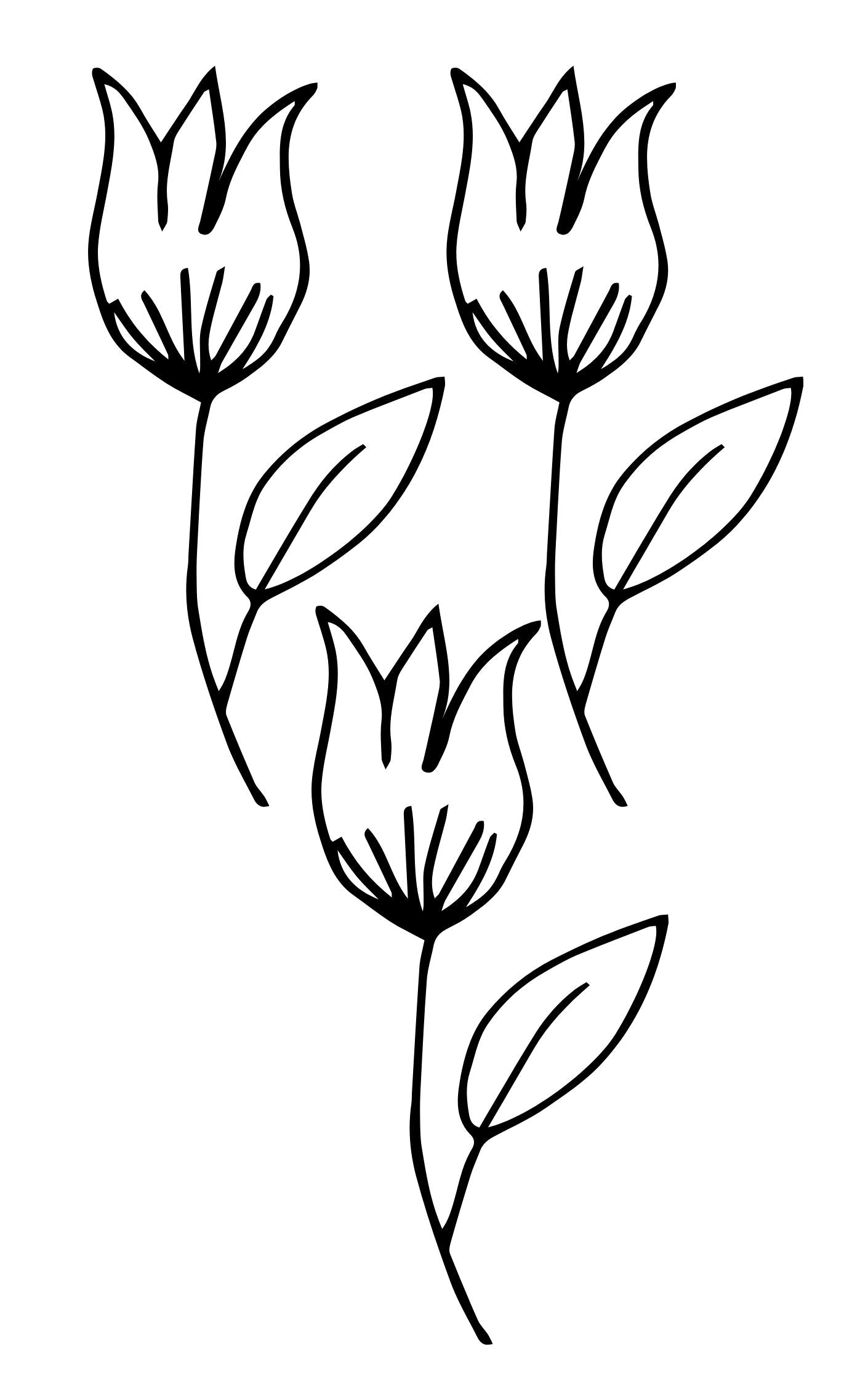 Creative Pattern Book