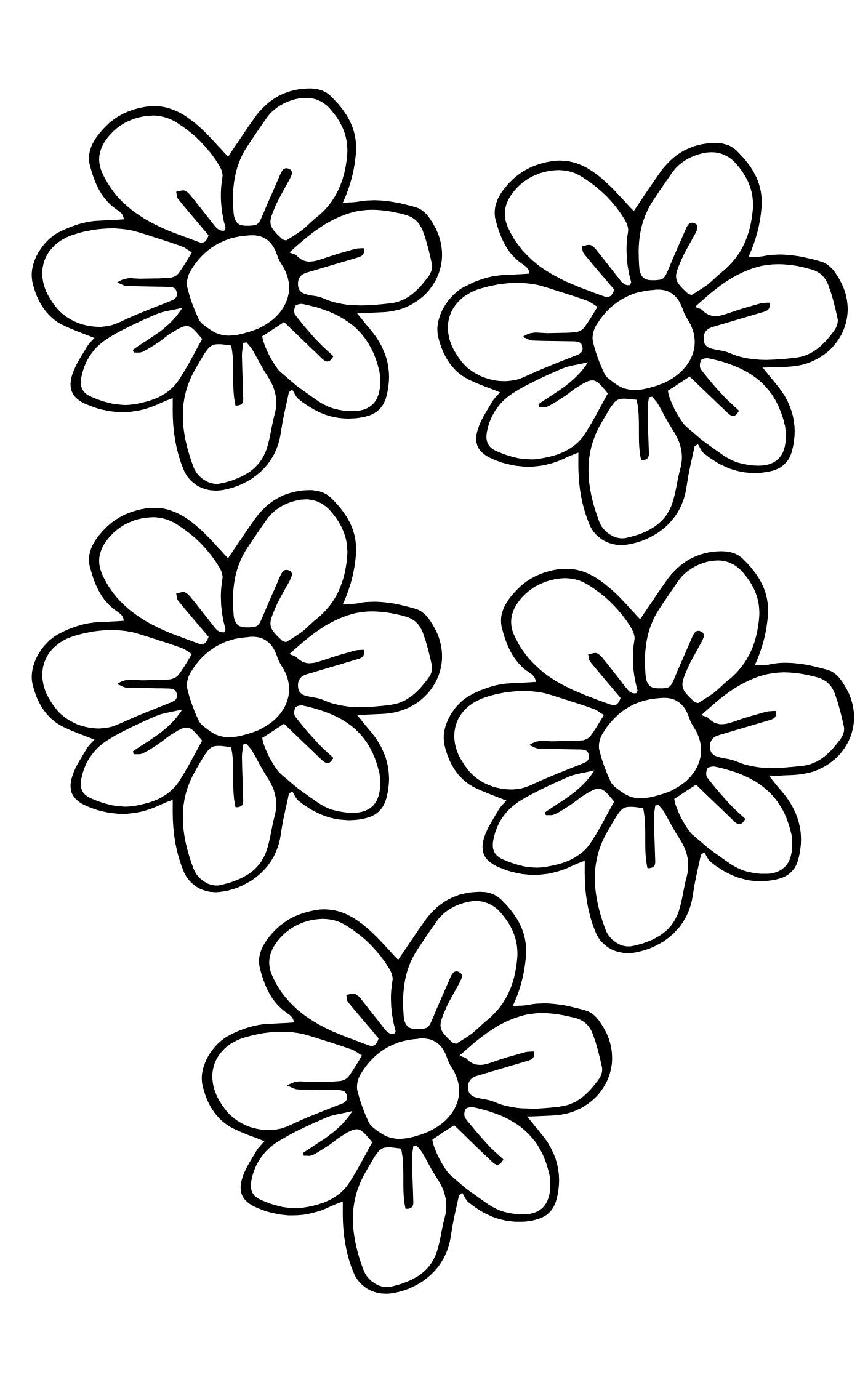 Creative Pattern Book