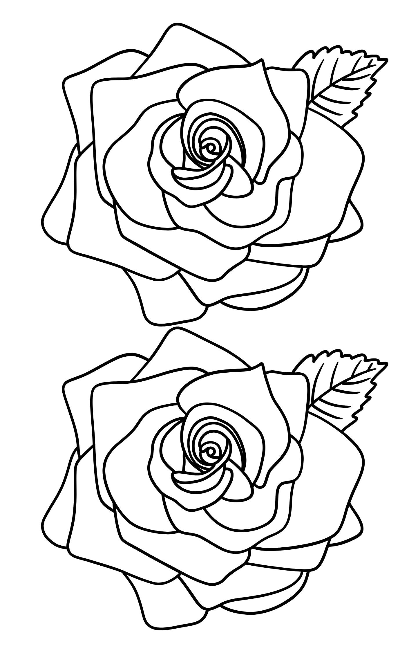 Creative Pattern Book
