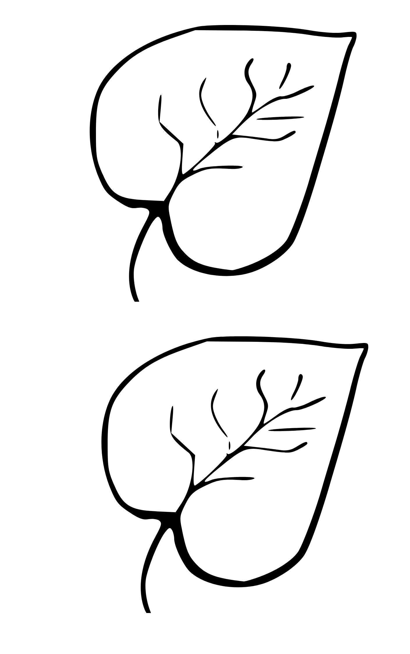 Creative Pattern Book