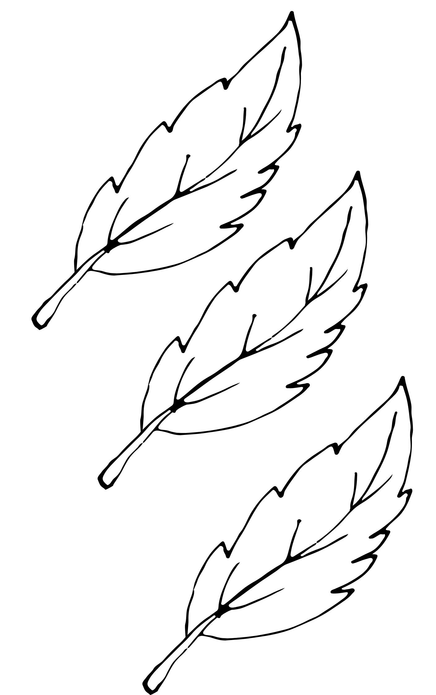 Creative Pattern Book