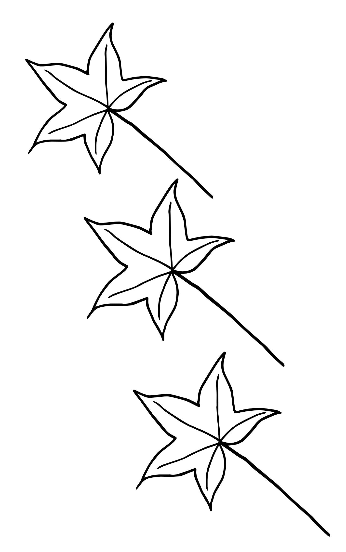 Creative Pattern Book
