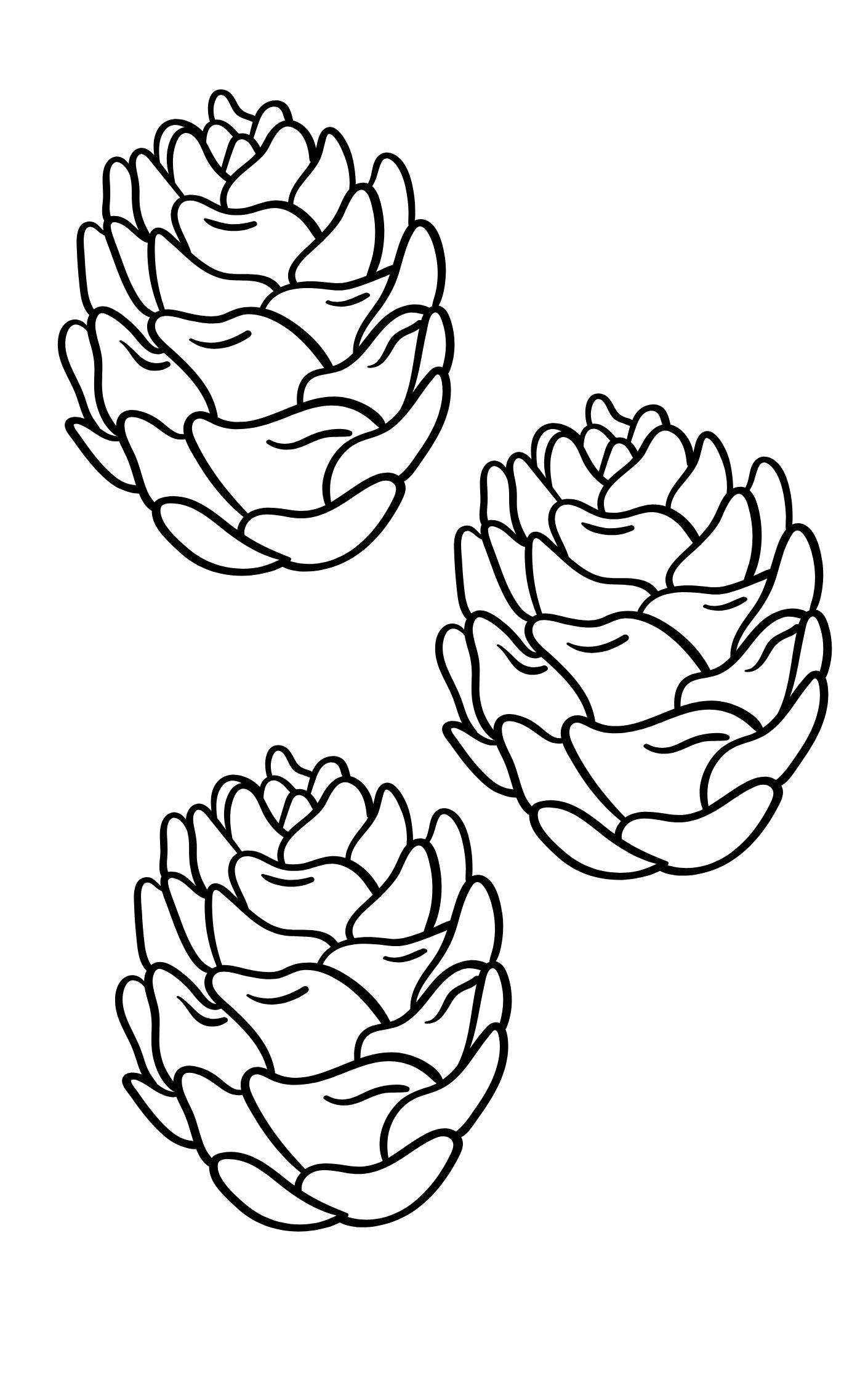 Creative Pattern Book