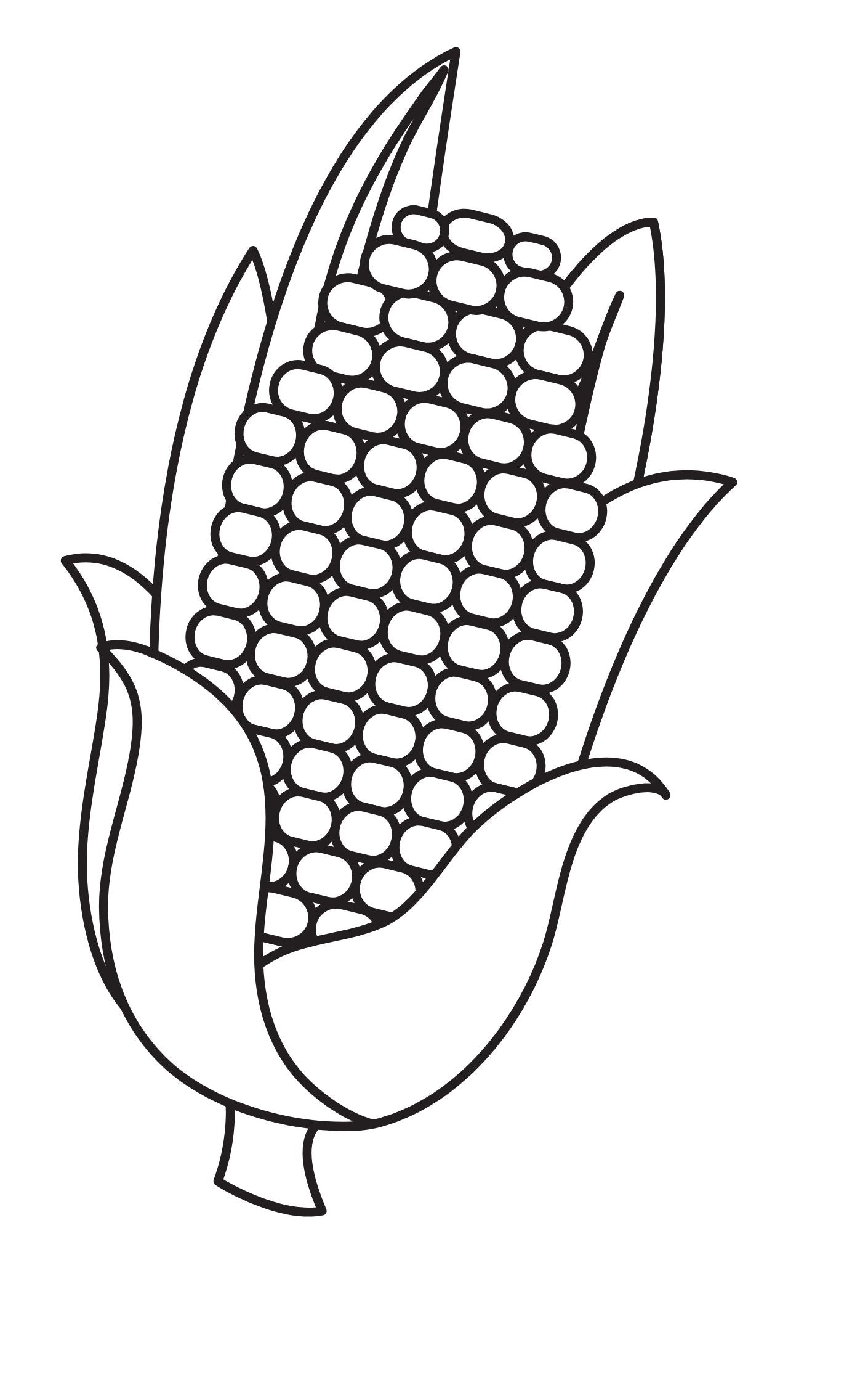 Creative Pattern Book