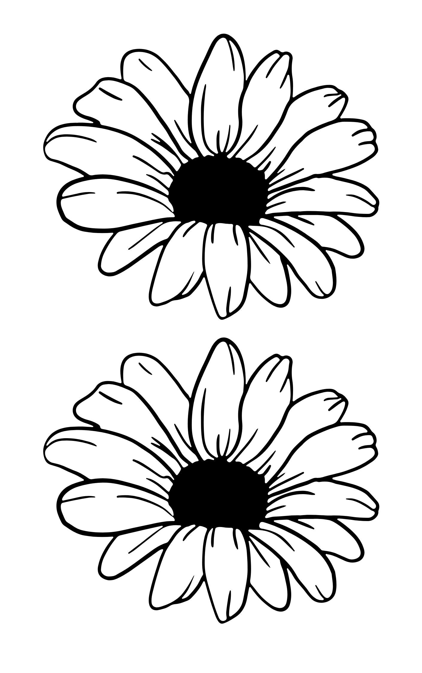 Creative Pattern Book