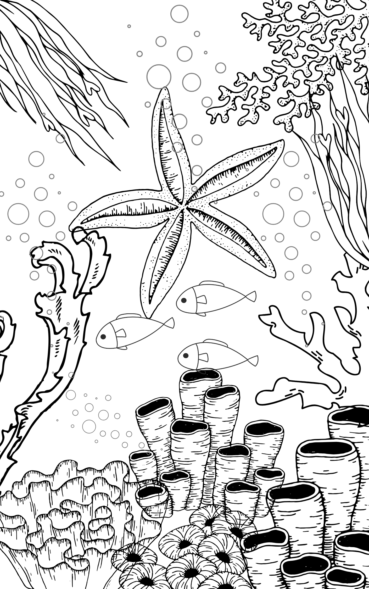 Under the Sea Coloring Book