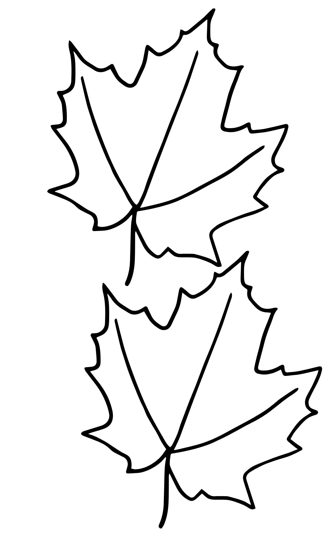 Creative Pattern Book