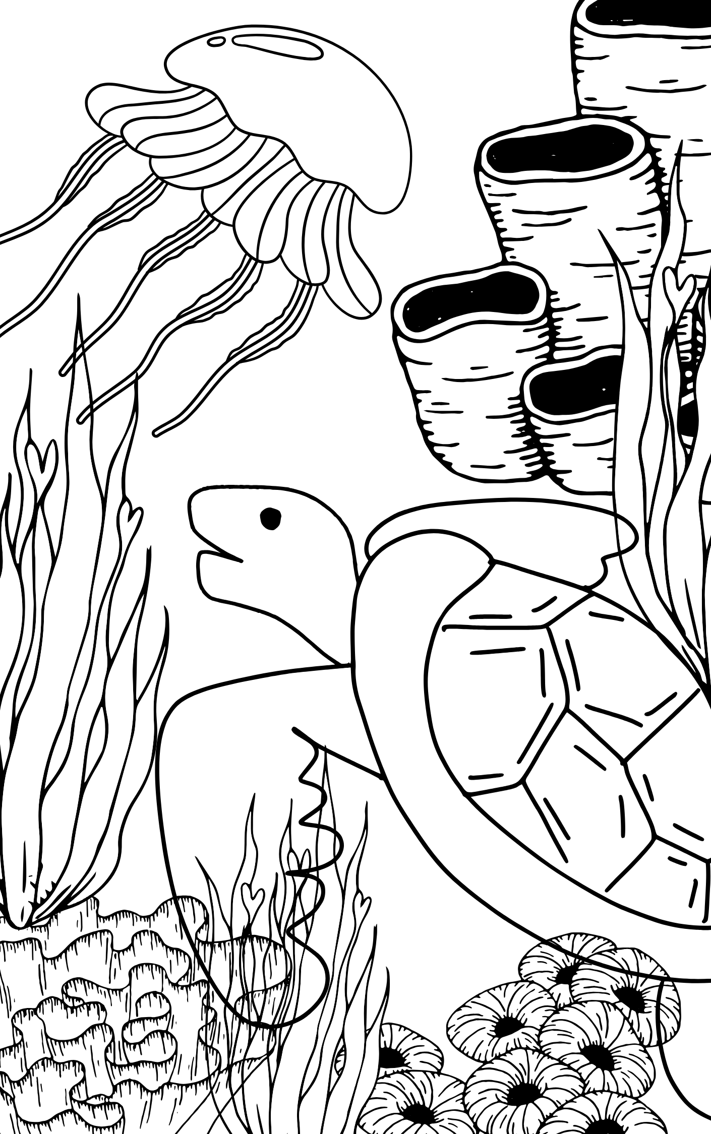 Under the Sea Coloring Book