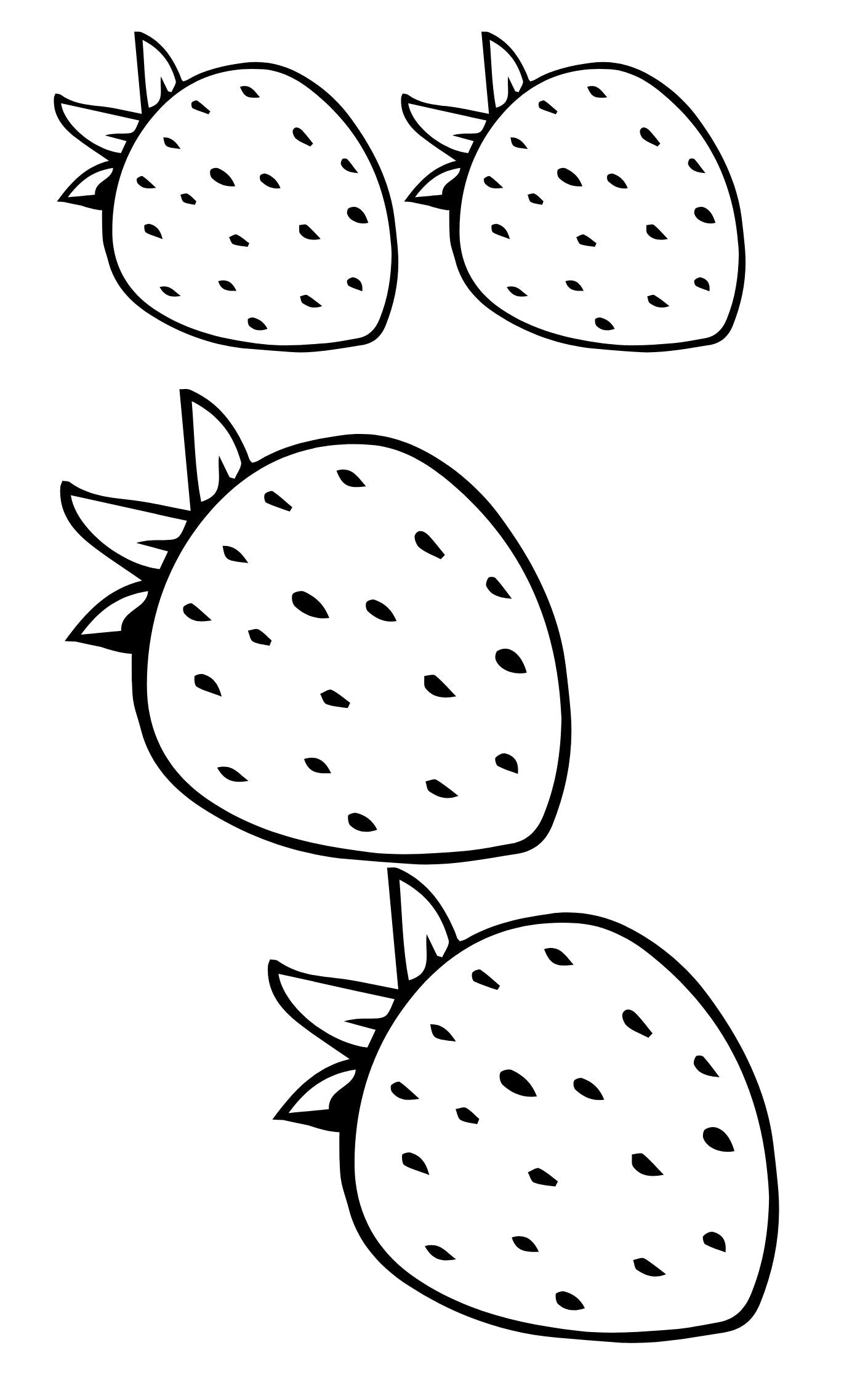 Creative Pattern Book