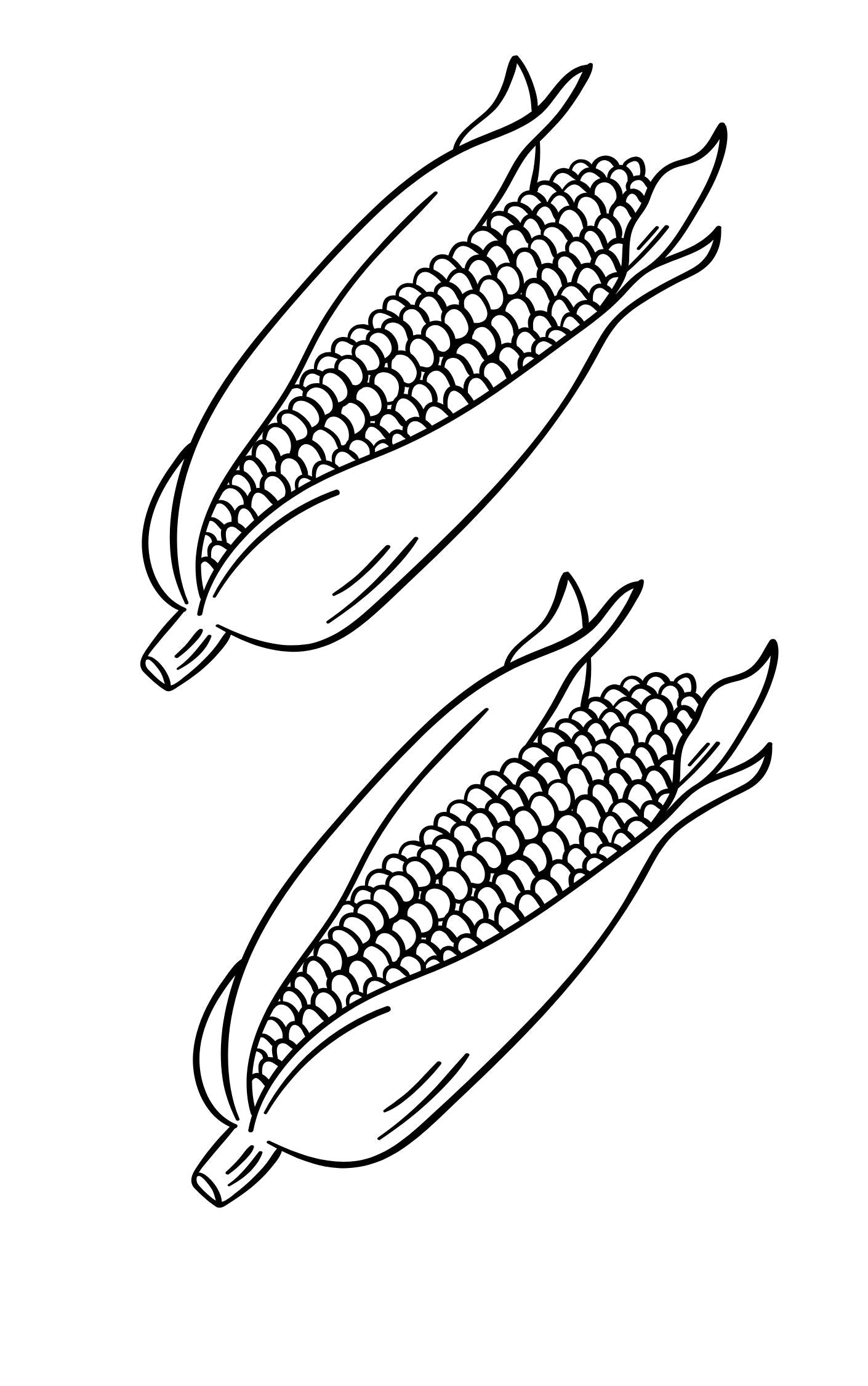 Creative Pattern Book